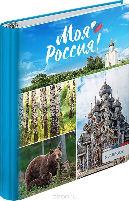 ArtSpace Тетрадь на кольцах Моя Россия 120 листов в клетку