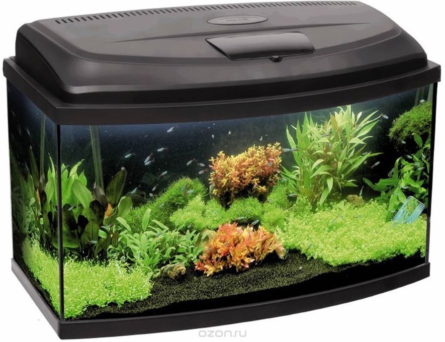 Aквариум Aquael "Classiс Led 50", фигурный, без оборудования, 40 л